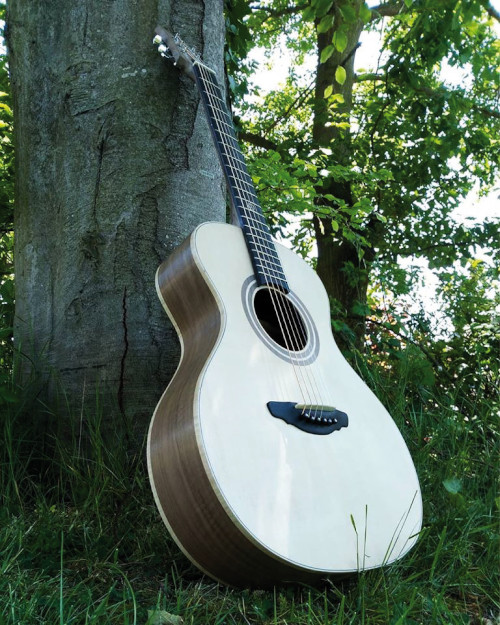 belle guitare nature